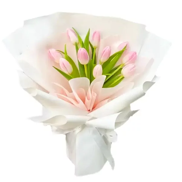 600_dUeS8ehoIgN8mA8hmHBXe17So Ariana-tulip