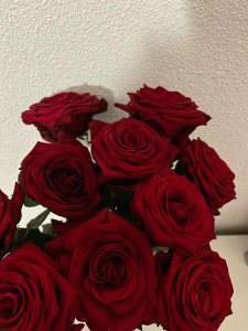 Ý nghĩa của hoa hồng đỏ luôn gắn liền với biểu tượng của tình yêu bất diệt